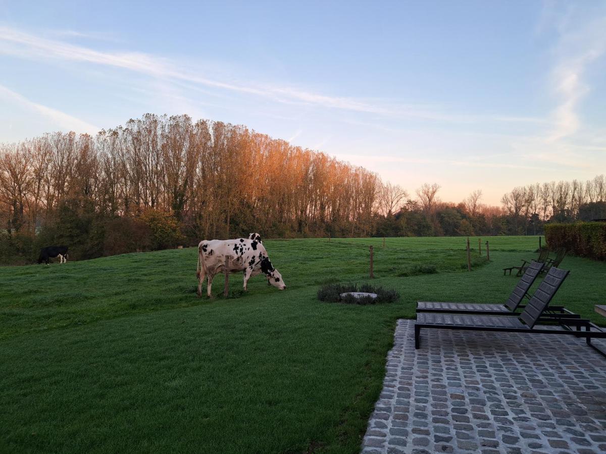 Huis Potaerde, Luxe Villa, Vakantiewoning - Landhuis Nabij Brussel Merchtem Exterior foto