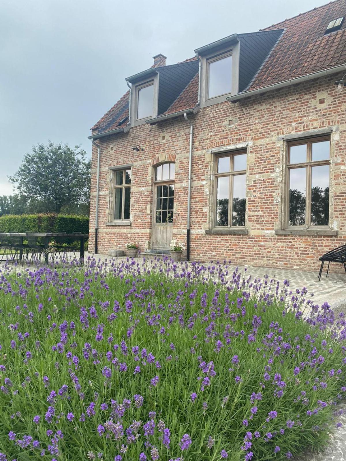 Huis Potaerde, Luxe Villa, Vakantiewoning - Landhuis Nabij Brussel Merchtem Exterior foto